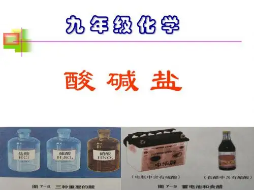 酸碱盐复习公开课