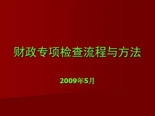 财政专项检查流程与方法
