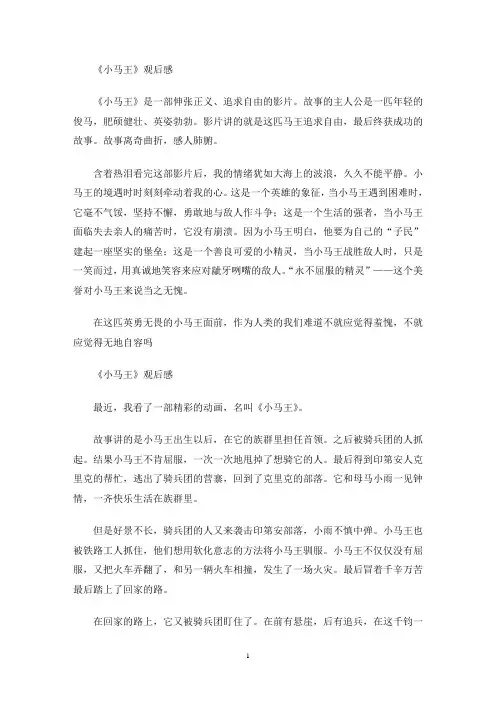最新小马王观后感 优选18篇