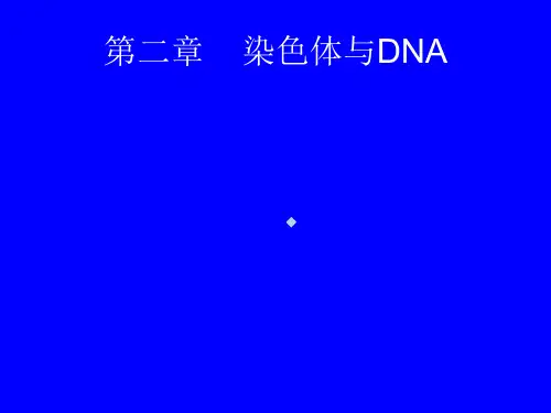分子生物学第2章染色体和DNA