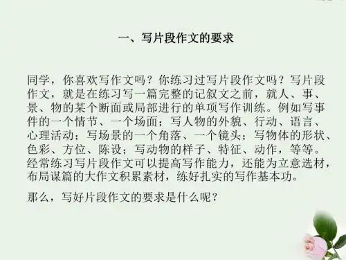 【突破作文】中考语文突围 片段作文写作指导课件