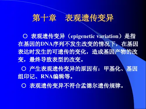 分子遗传学第10章