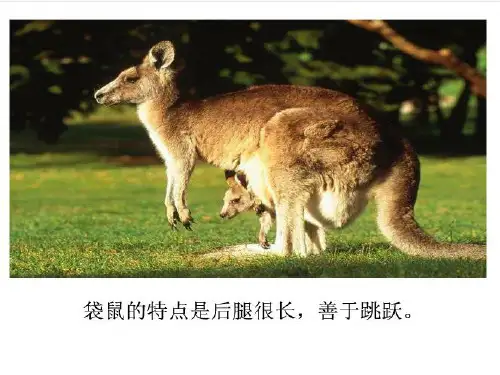 人教版二年级上册第二十一课《从现在开始》精品PPT课件