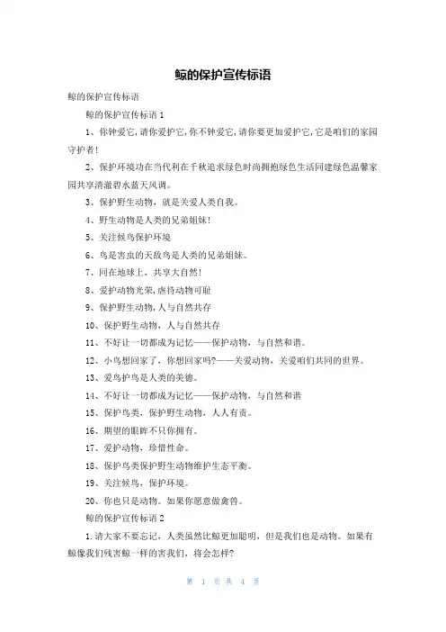 鲸的保护宣传标语