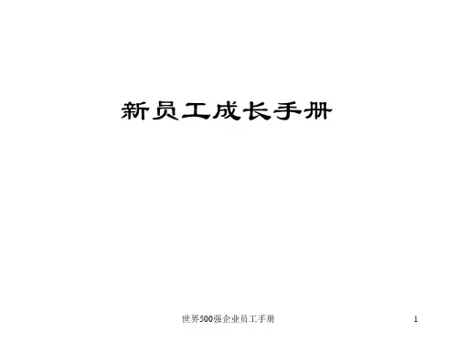 世界500强企业员工手册