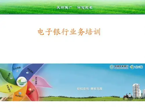 农行个人网上银行