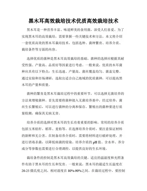 黑木耳高效栽培技术优质高效栽培技术