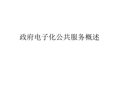 政府电子化公共服务概述