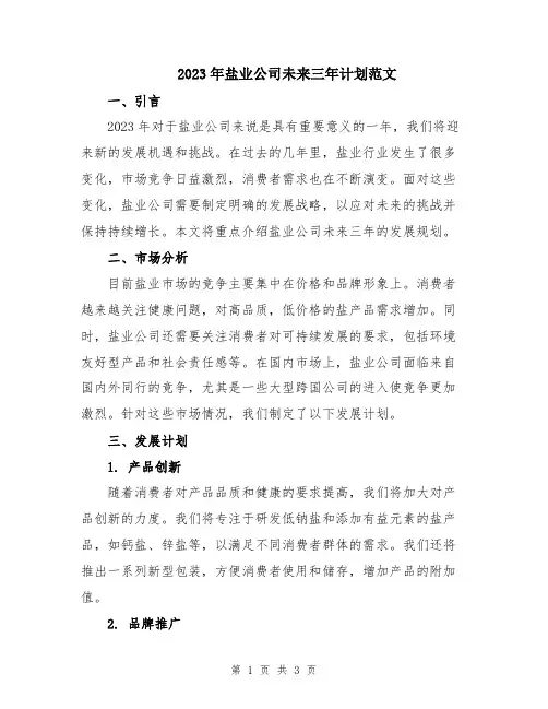 2023年盐业公司未来三年计划范文