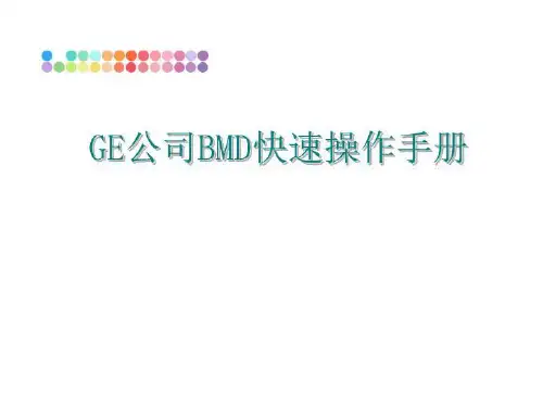 最新GE公司BMD快速操作手册讲学课件