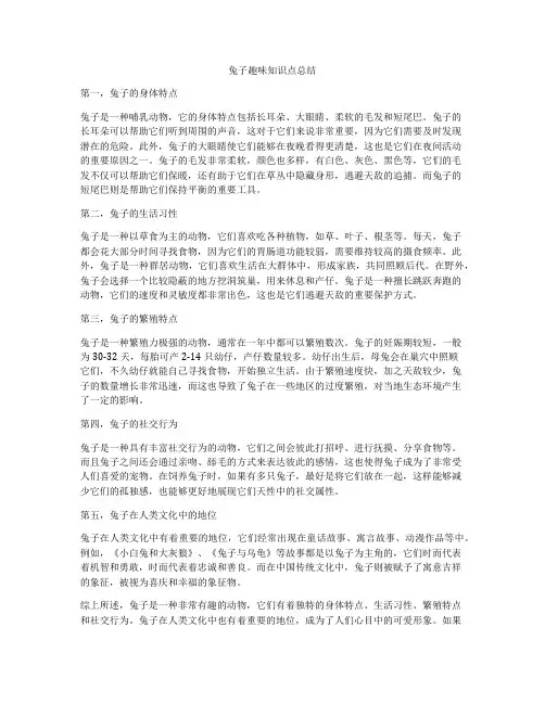 兔子趣味知识点总结