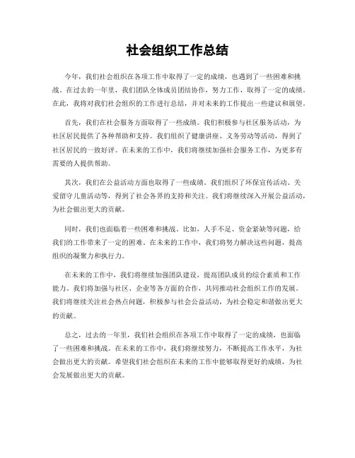 社会组织工作总结