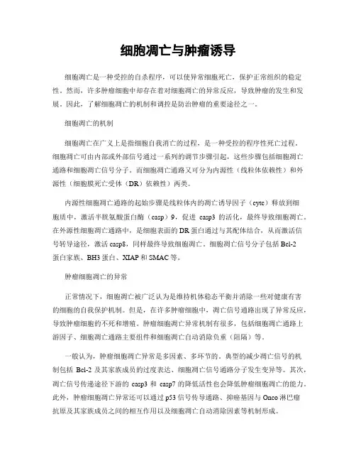 细胞凋亡与肿瘤诱导