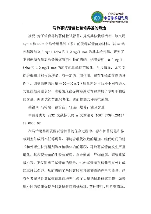 马铃薯试管苗壮苗培养基的筛选