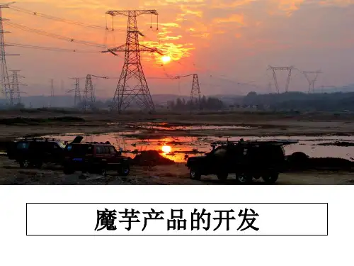 魔芋产品的开发课件PPT