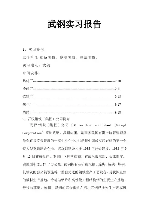 实习报告(武钢)