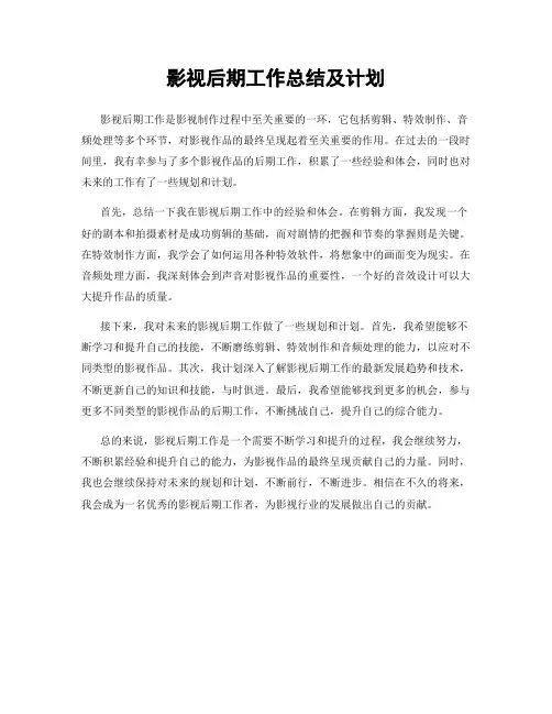 影视后期工作总结及计划