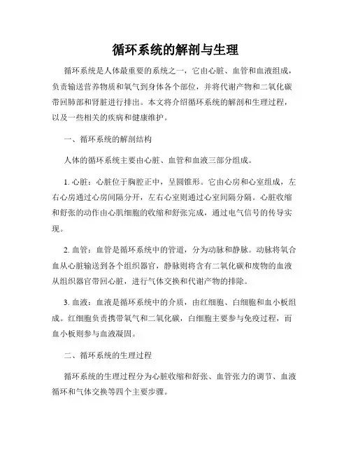 循环系统的解剖与生理