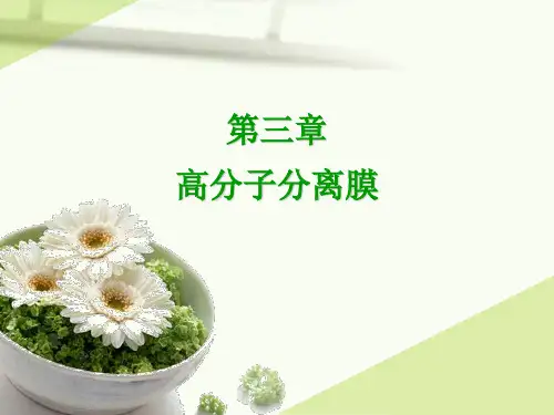 功能高分子材料-第三章-高分子分离膜..