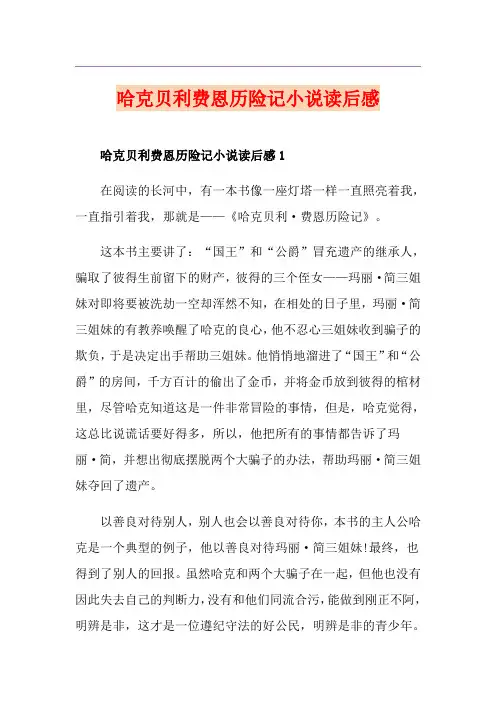 哈克贝利费恩历险记小说读后感