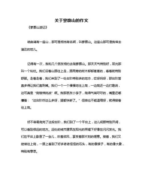 关于寥廓山的作文