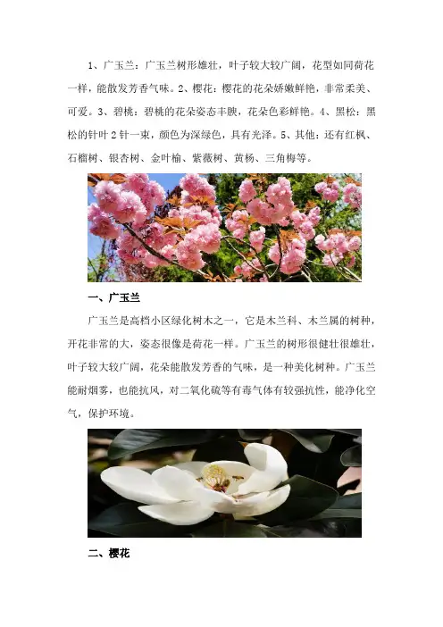 高档小区绿化树木有哪些