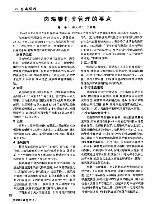 肉鸡雏饲养管理的要点