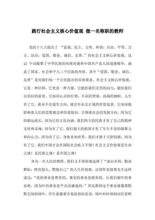 践行社会主义核心价值观 做一名称职的教师