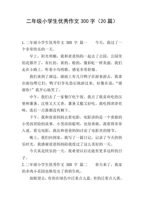 二年级小学生优秀作文300字(20篇)