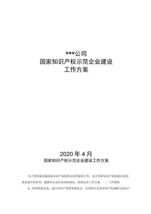 某公司国家知识产权示范企业建设工作方案(含规划)