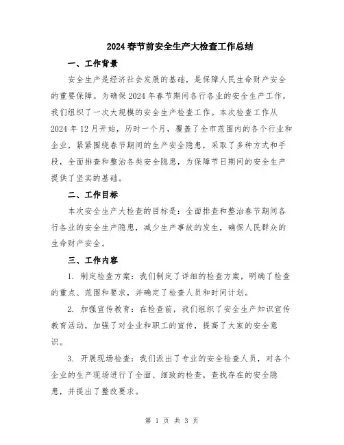 2024春节前安全生产大检查工作总结