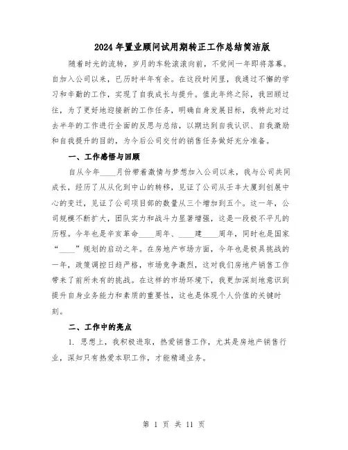 2024年置业顾问试用期转正工作总结简洁版（六篇）