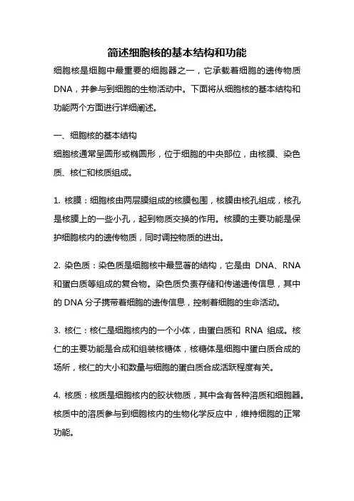 简述细胞核的基本结构和功能