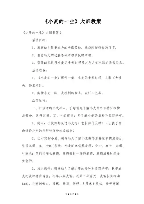 《小麦的一生》大班教案