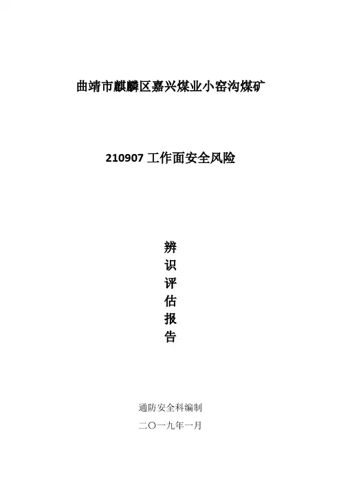 工作面安全风险辨识评估报告[1]