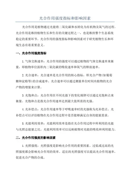 光合作用强度指标和影响因素