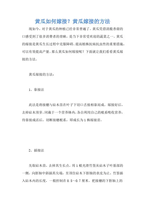 黄瓜如何嫁接？黄瓜嫁接的方法