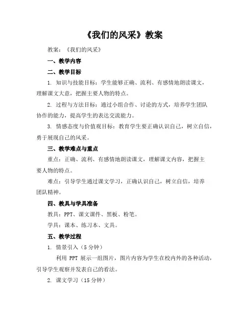 《我们的风采》教案