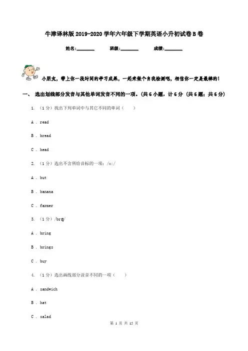 牛津译林版2019-2020学年六年级下学期英语小升初试卷B卷