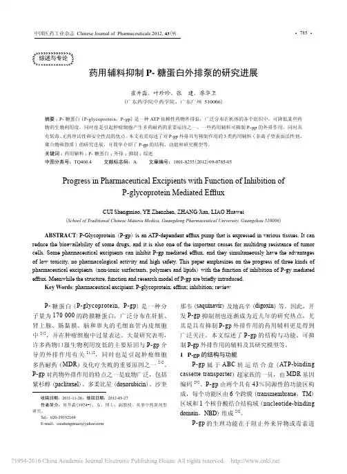 药用辅料抑制P_糖蛋白外排泵的研究进展_崔升淼
