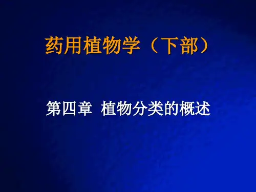 植物分类 ppt课件