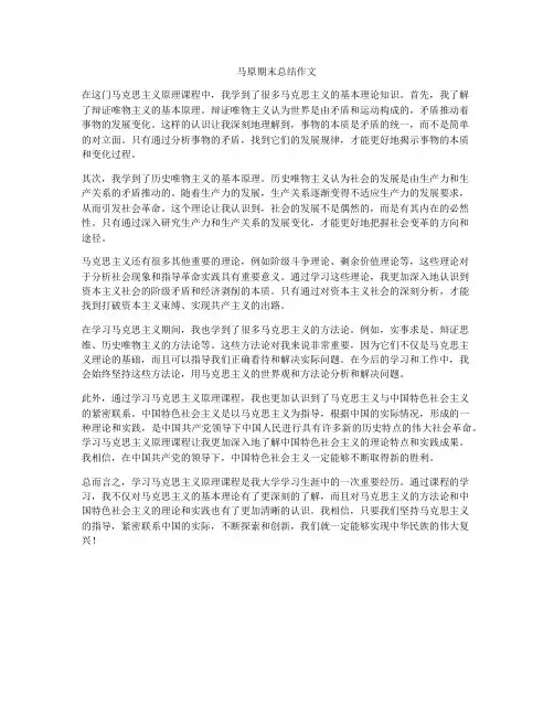 马原期末总结作文