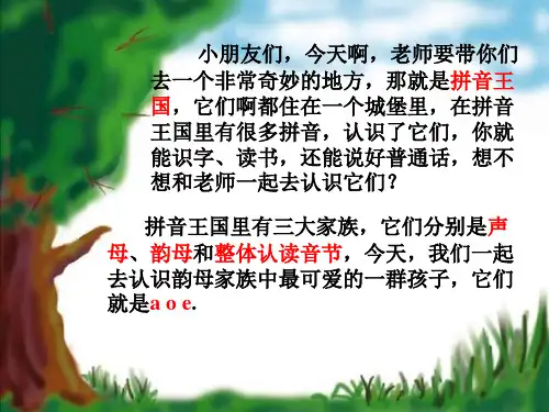 人教版 一年级语文上册汉语拼音aoe课件PPT