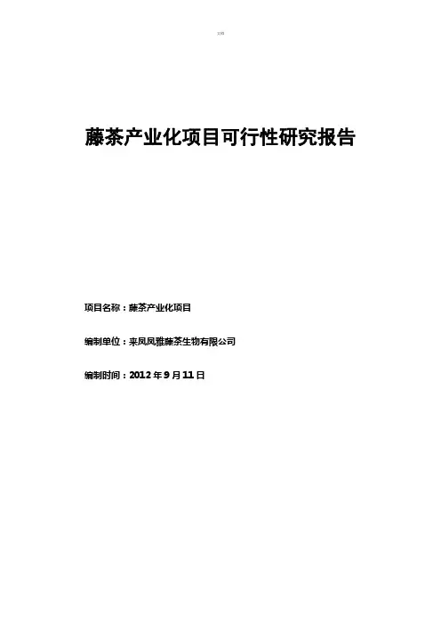藤茶可行性研究报告