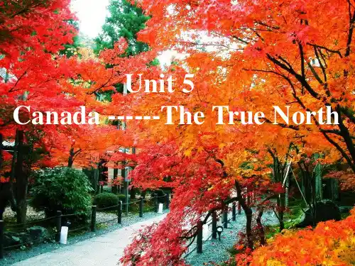 Unit5 Canada-the true north-Reading