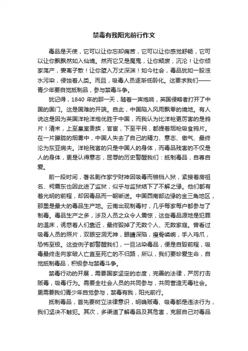 禁毒有我阳光前行作文