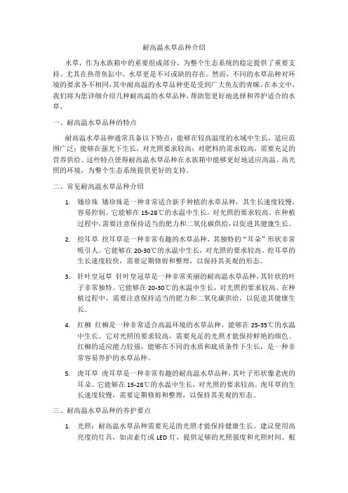 耐高温水草品种