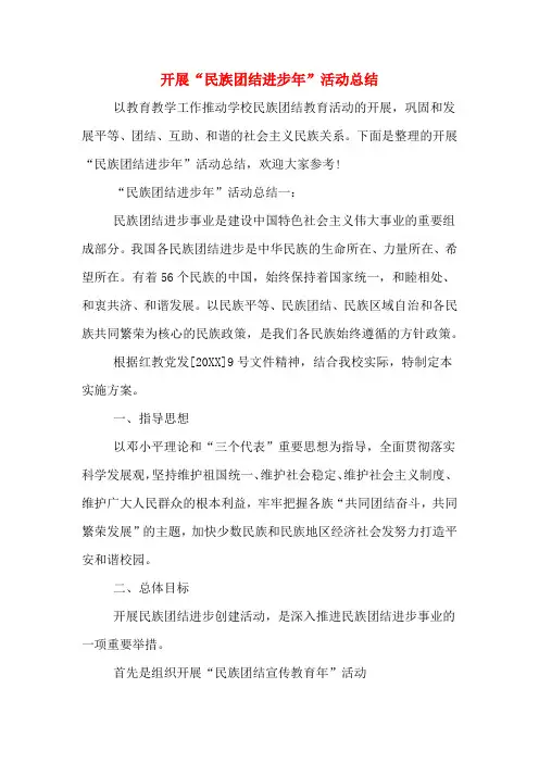 2019年开展“民族团结进步年”活动总结