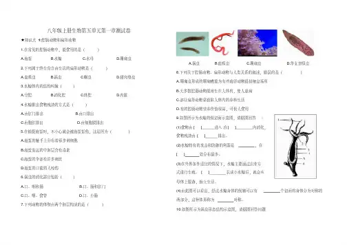 八年级上册生物第五单元第一章动物的主要类群测试卷(含答案)