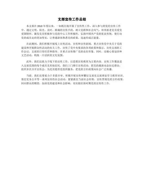 支部宣传工作总结